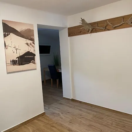 Apartament Haus Willibald Saalbach-Hinterglemm Zewnętrze zdjęcie